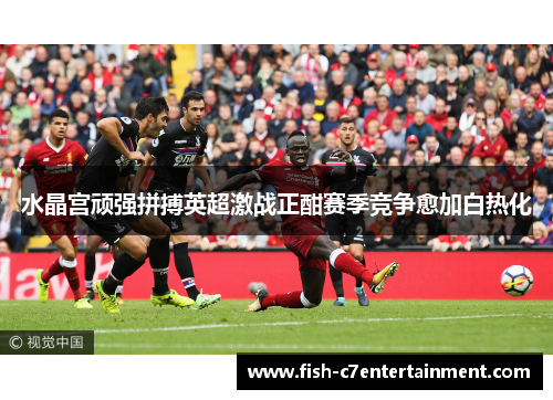 水晶宫顽强拼搏英超激战正酣赛季竞争愈加白热化